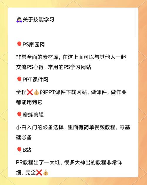 学习网站制作，能快速掌握哪些实用技能？