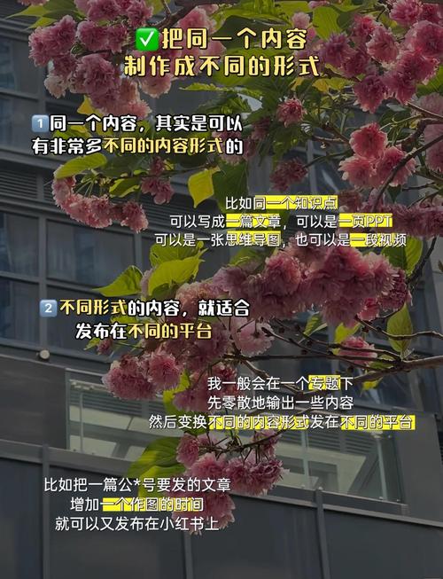 如何快速提升自媒体内容产出效率，轻松实现高效创作？