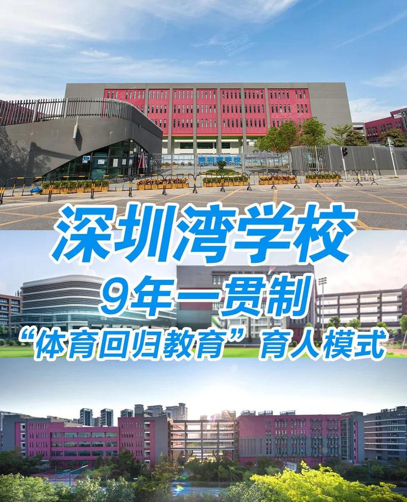 深圳网站制作，能让我享受怎样的学校或享乐体验？