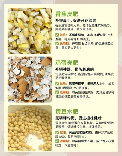 如何让我的有机物品使用更高效？