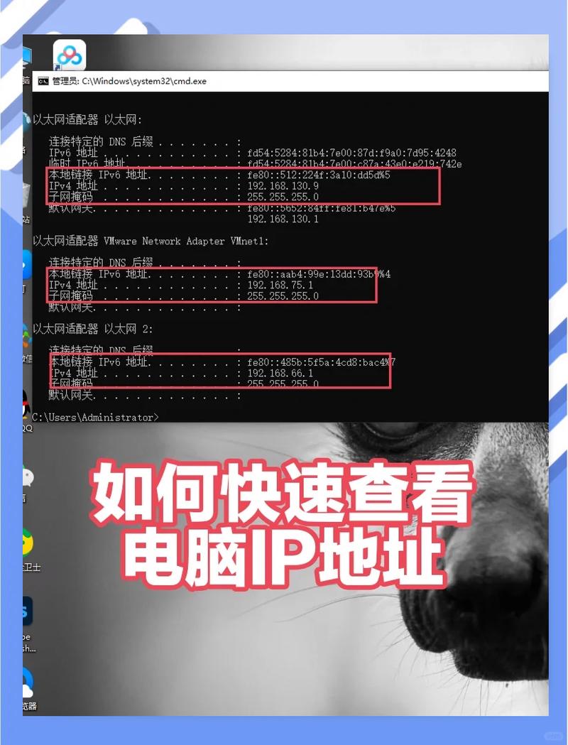看ipconfig，轻松掌握电脑IP地址，网络设置不求人！