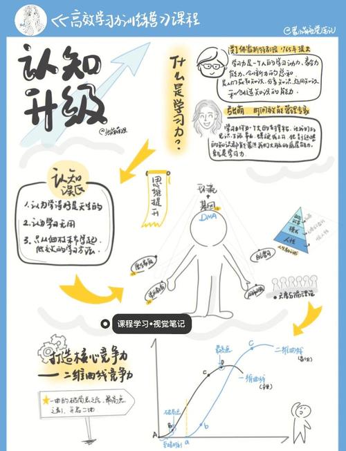 阅读本文，如何提升视觉层次设计，优化用户体验？
