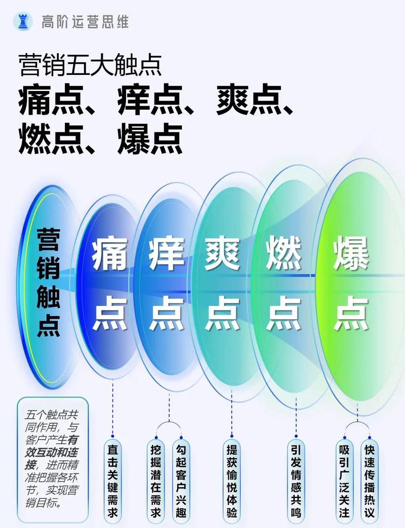 如何通过网络营销分析，精准把握消费者心理，提升购买转化率？