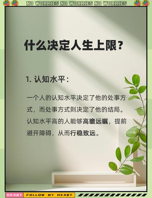 掌握这四大因素，你的排名能提升多少？