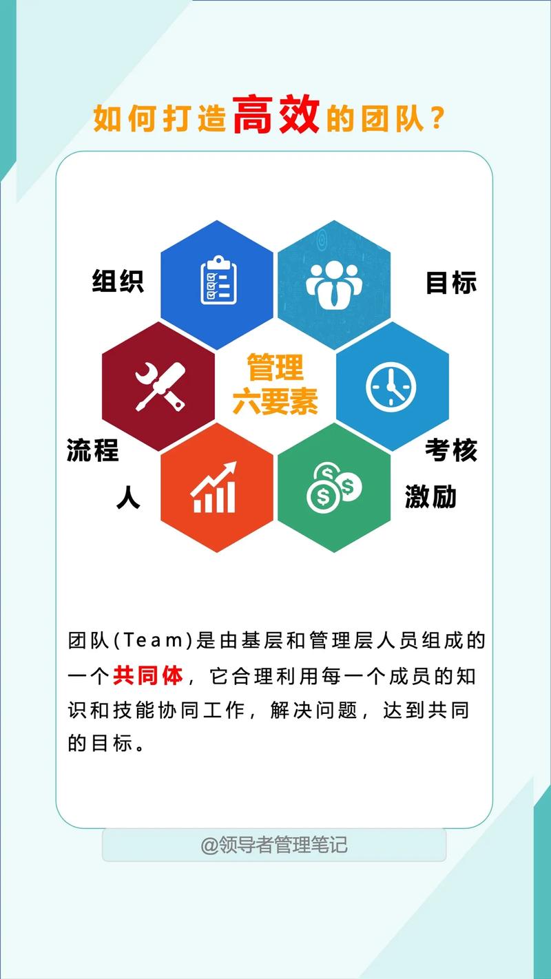 如何组建一个高效SEO团队，成员都负责哪些具体任务？