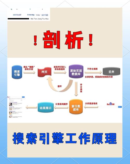 如何识别SEO优化中搜索引擎不同处罚幅度的具体影响？
