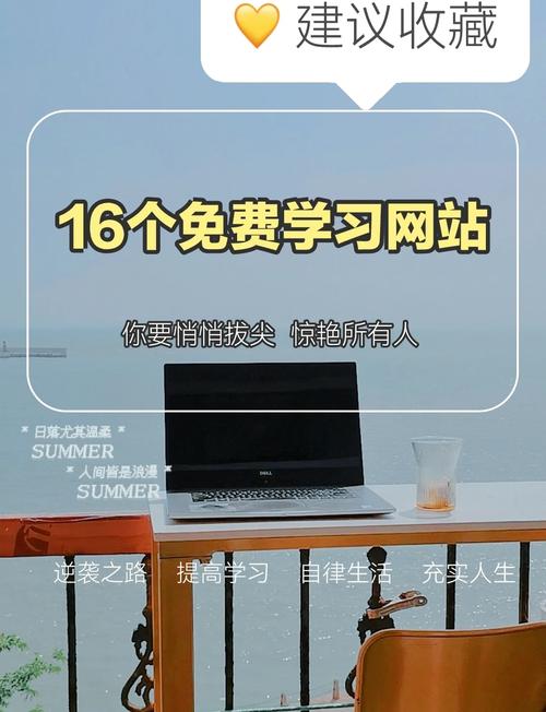学习虚拟主机知识，能帮我轻松搭建网站并提升流量吗？