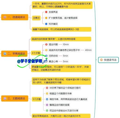 如何通过SEO优化，提升用户体验，让阅读文章更高效？