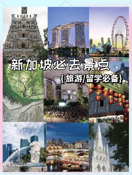 新加坡设计之旅攻略，如何轻松玩转时尚景点？
