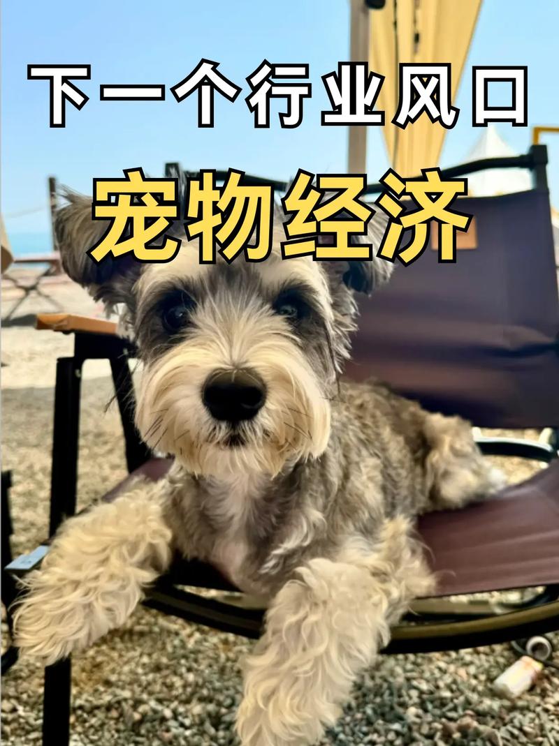 养宠物成本竟比建网站还高？揭秘宠物经济背后的惊人真相！