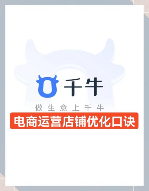 如何通过商城网站优化获得更多精准流量和转化？
