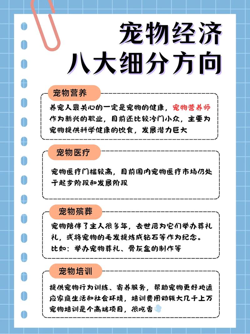 养宠物成本竟比建网站还高？揭秘宠物经济背后的惊人真相！