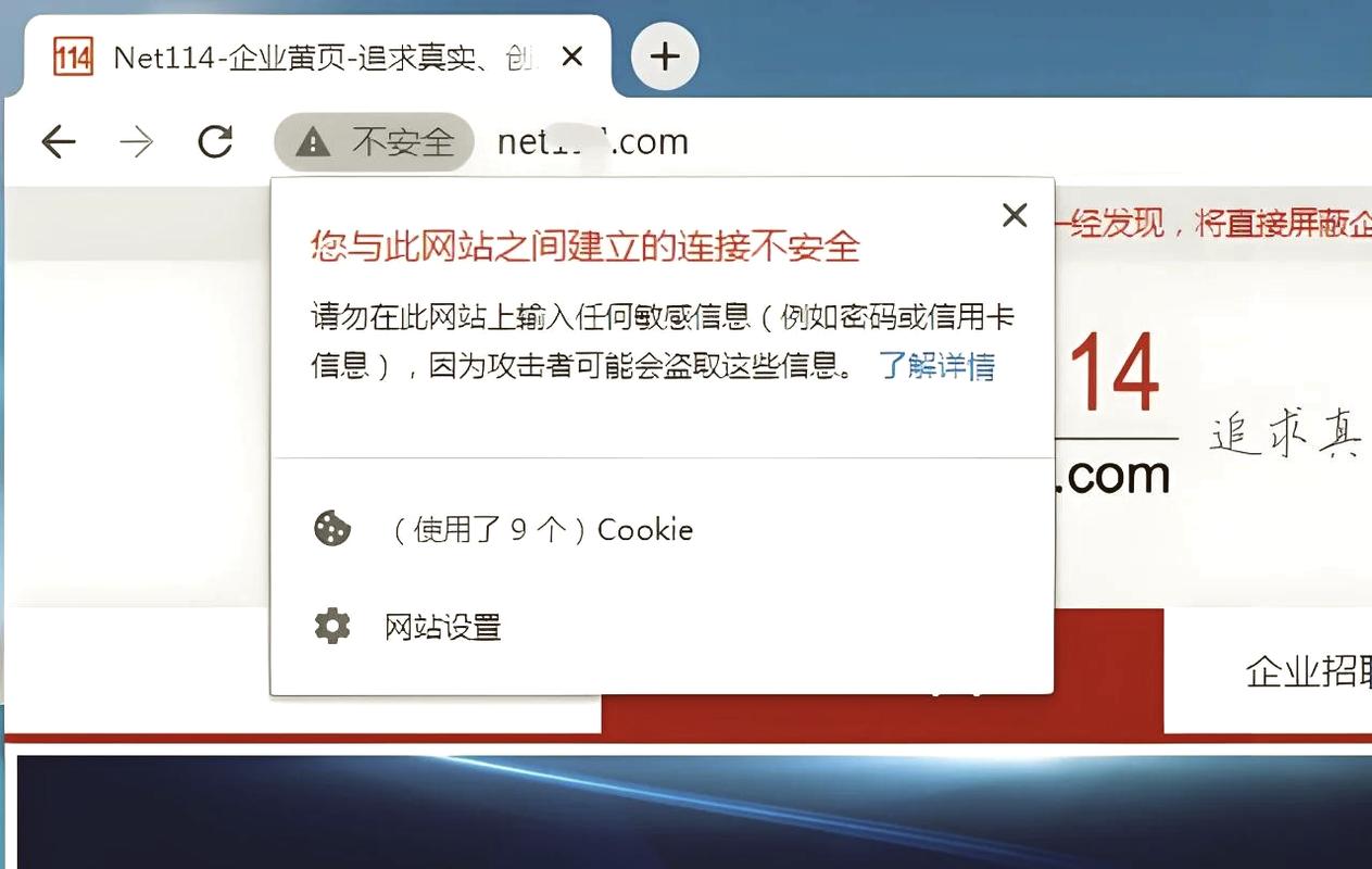 如何识别并处理网站被劫持，保护我的网站安全？