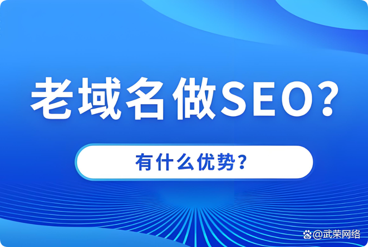 选择老域名对SEO优化有啥具体好处？