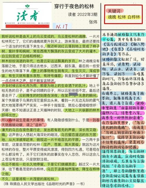阅读本文，如何写出优化内页的文章更吸引读者？