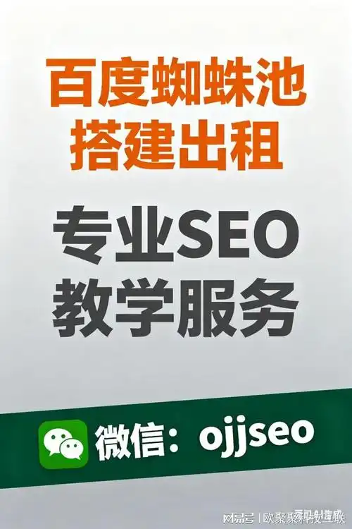 抓取蜘蛛却暂不收录，能学到哪些SEO优化技巧？