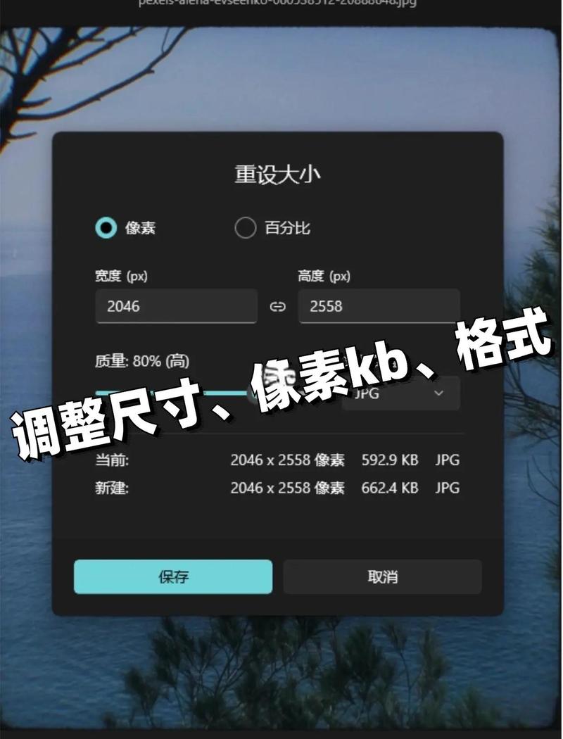 如何快速查看网站图片尺寸，提升网页浏览效率？