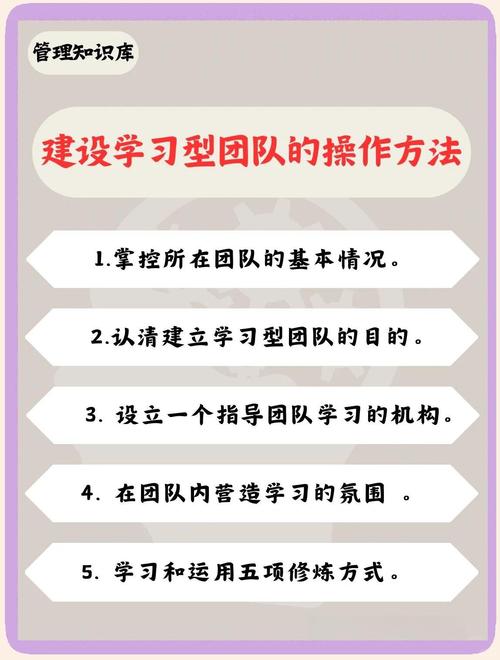 学习网站开发，如何组建专业团队更高效？