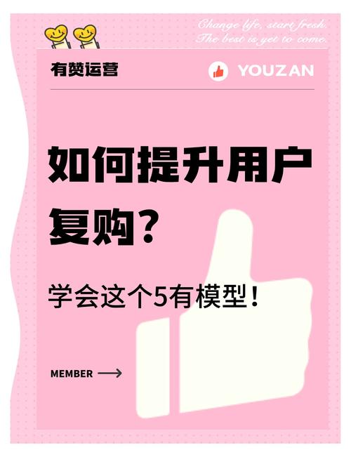 如何通过网站运营策略，有效提高用户复购率，实现持续收益？