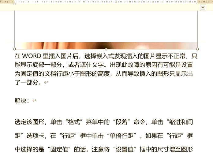 网站通栏背景缩小后显示不全怎么办？快速解决技巧！
