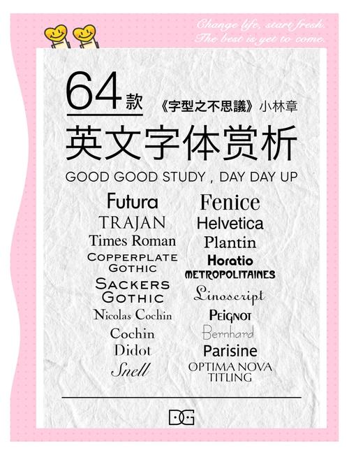 哪款英文字体最吸引人，提升阅读体验？