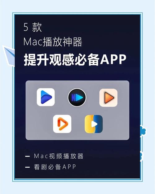 用这款软件，我能轻松提升视频播放量吗？