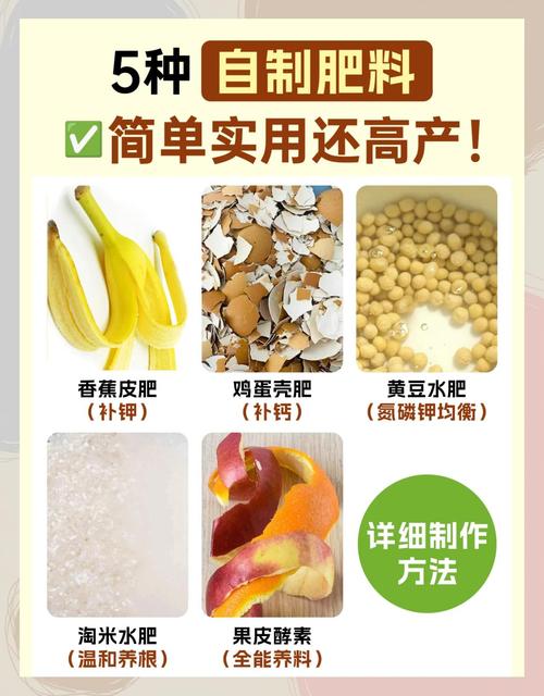 如何让我的有机物品使用更高效？