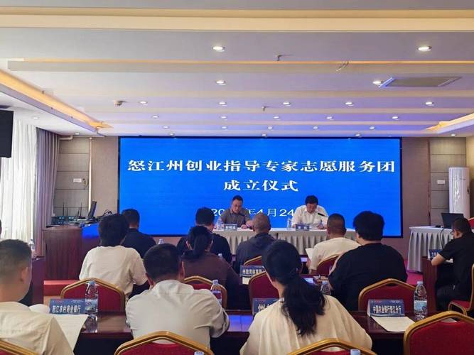 加入首批创业指导专家志愿团，我能获得哪些专业指导？