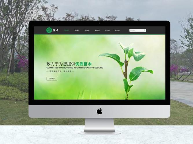 成都网站建设制作过程中常见问题有哪些，如何避免？