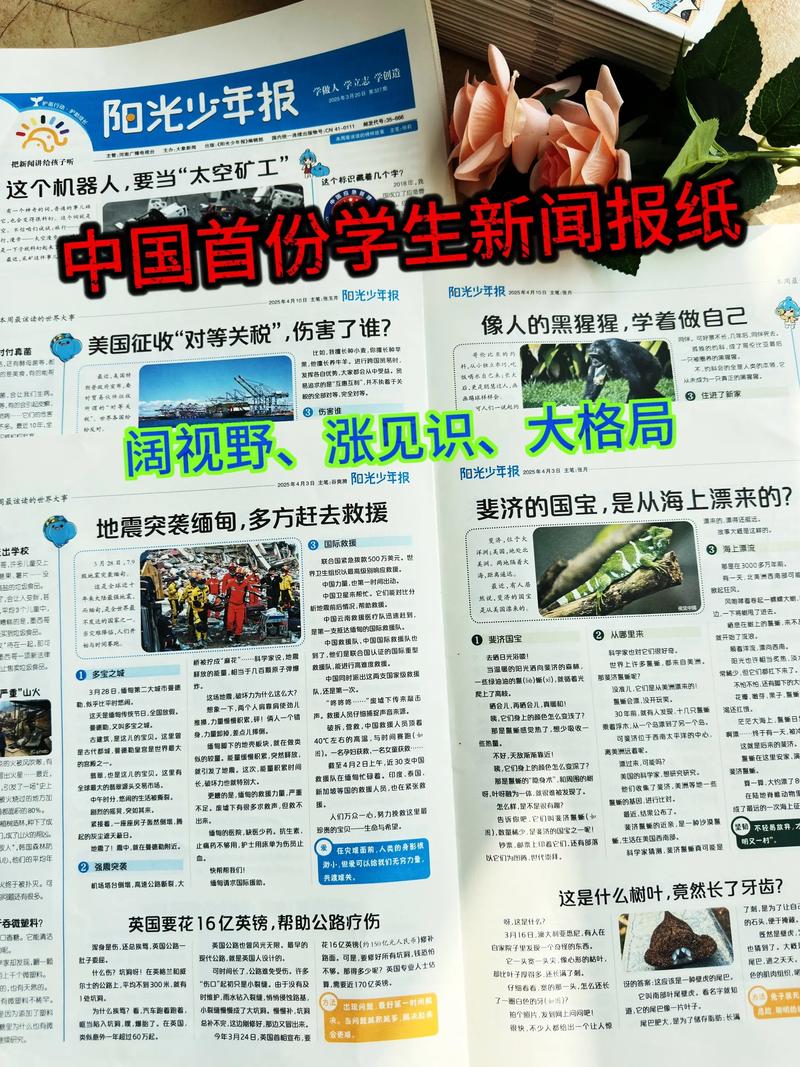 阅读这篇报道，我能获得哪些针对性的内容链接？