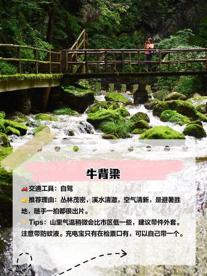 柞水建站：如何打造旅游景区网站，提升游客体验？