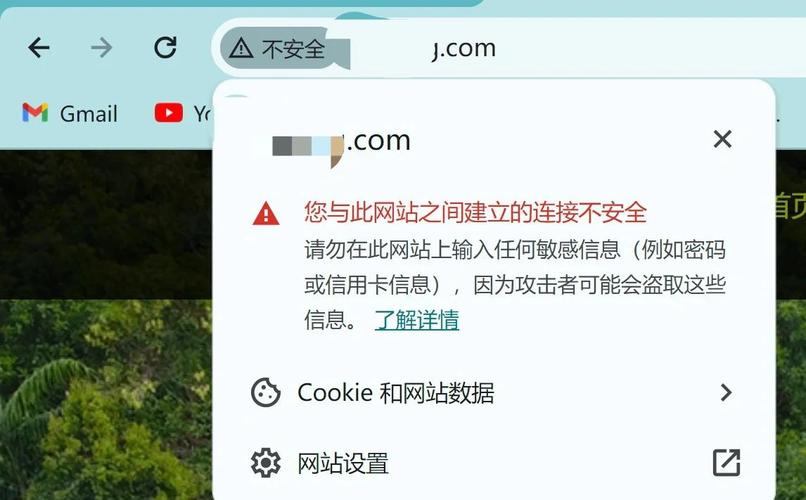 如何通过HTTPS认证提升网站安全，保障用户隐私？