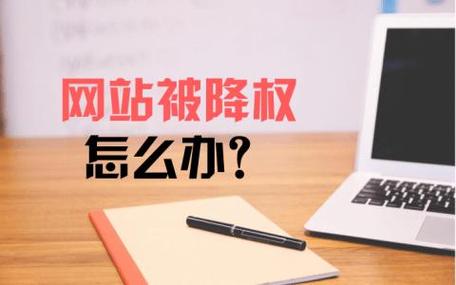 网站刷流量会被惩罚吗？如何避免被搜索引擎降权？