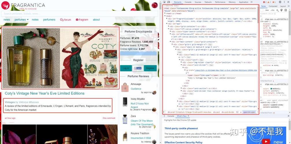 如何通过谷歌图片优化技巧提升搜索排名？