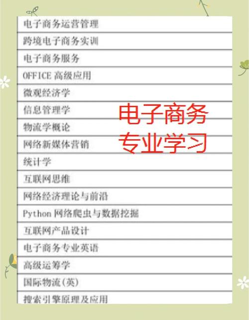 学习电子商务，如何有效提升网络建设技能？