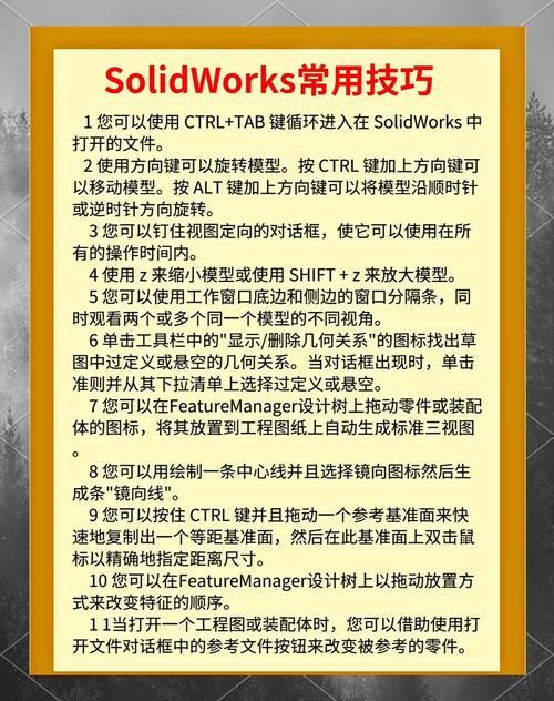 使用Noodp标签对SEO有何具体优化效果？