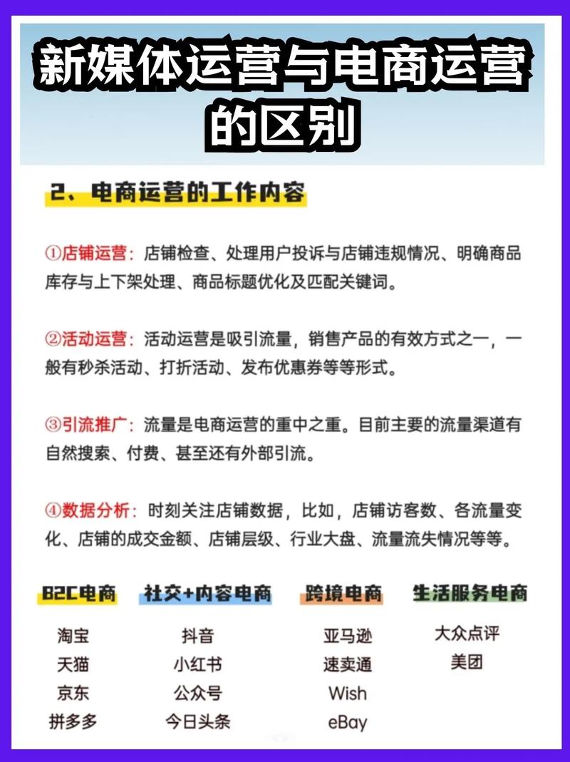 读这篇文章，我能了解网络营销与电子商务的哪些关键区别和共同点？