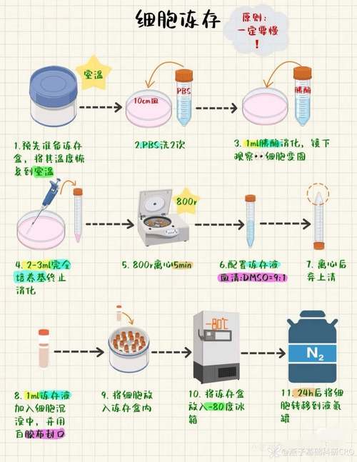 疫情好转后如何精准捕获复苏流量红利？