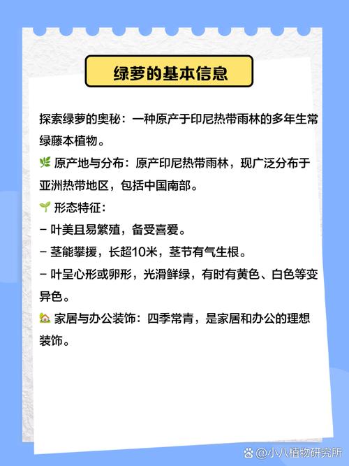 1.0版绿萝算法能帮我识别哪些内容是低质量吗？2.0版绿萝算法如何帮助我提升网站内容质量？