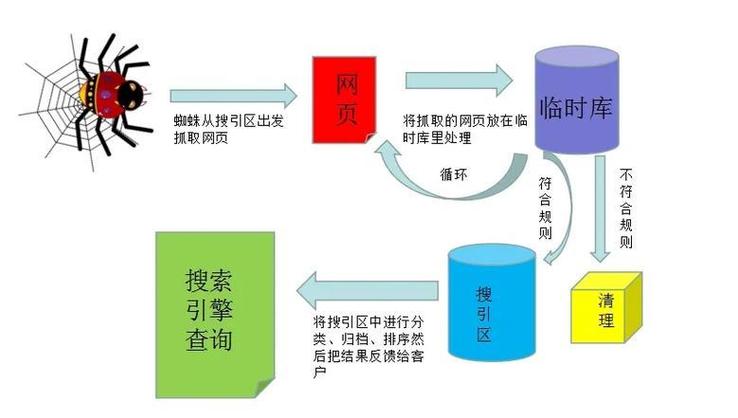了解搜索引擎人工干预，能避免哪些搜索结果误导？