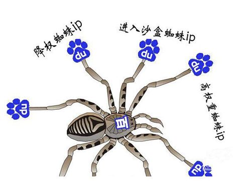 如何设计网站让蜘蛛高效抓取，提升网站流量？