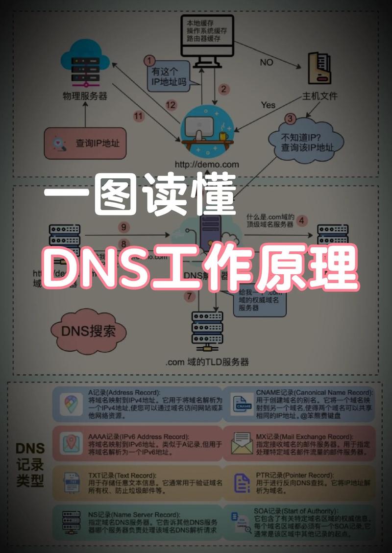 学习域名系统，如何轻松掌握网站地址解析奥秘？