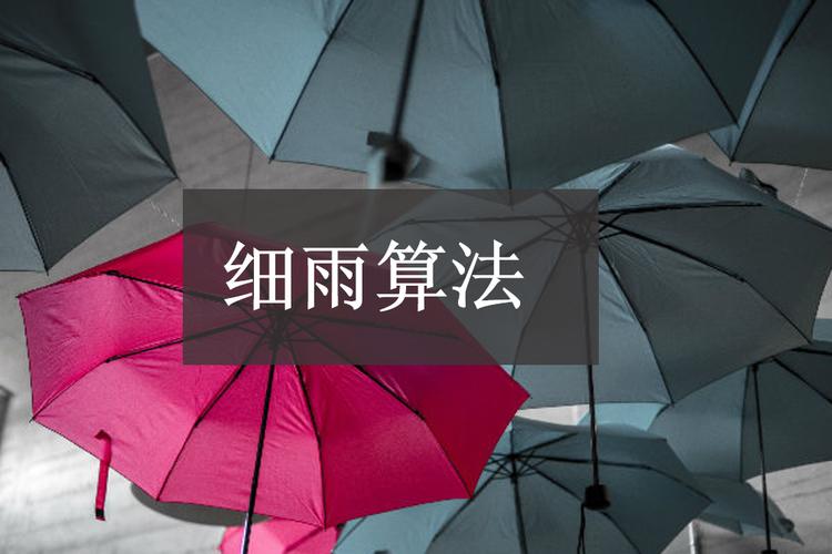 学习百度细雨算法，我能掌握哪些关键规则，提升搜索排名？