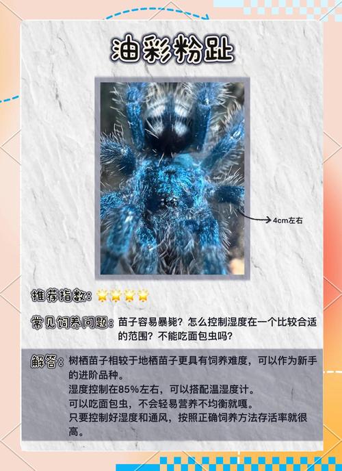 阅读本文，如何轻松应对蜘蛛耗尽服务器资源问题？