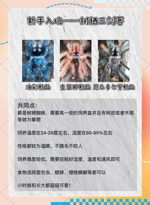 阅读本文，如何轻松应对蜘蛛耗尽服务器资源问题？