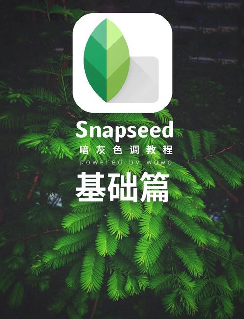 如何让Pinterest镜头更时尚，借鉴Snapchat风格提升拍照体验？