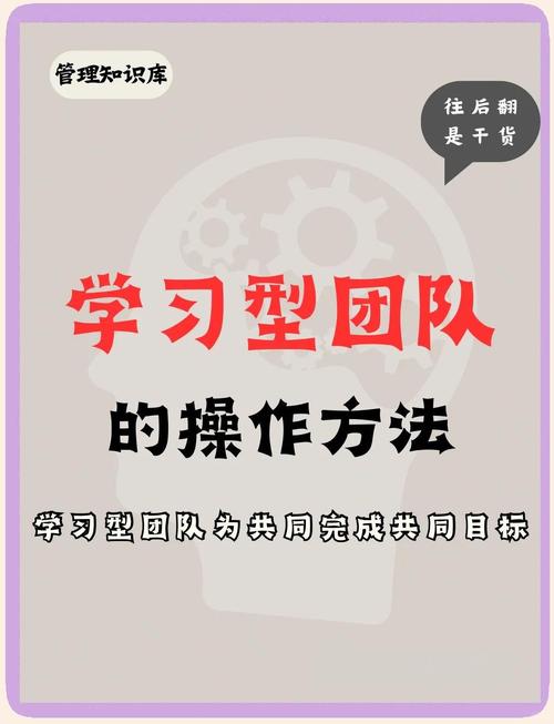 学习网站开发，如何组建专业团队更高效？