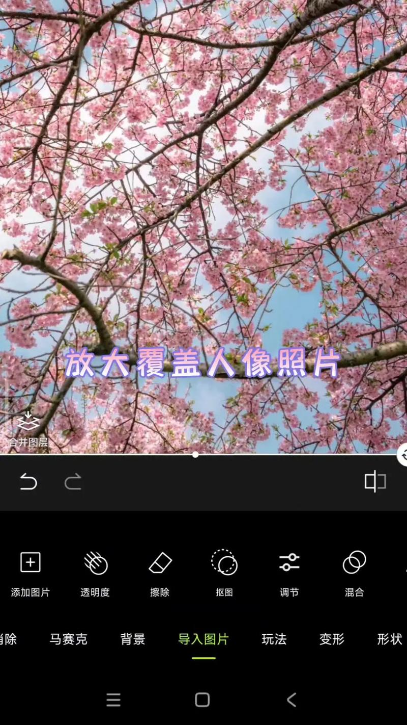 如何通过制作背景图片提升个人网站视觉效果？