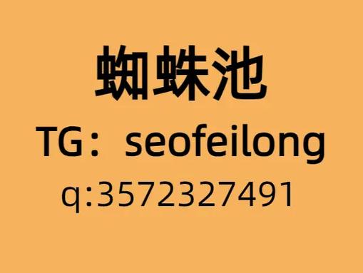 如何优化网页让蜘蛛高效抓取，提升网站流量？