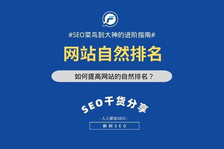 如何撰写SEO优化诊断报告，快速提升网站排名？